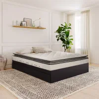 کارخانه تشک رویال اصل(اقساط بدون سود و حمل رایگان)