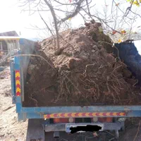 خدمات حمل و نقل|خدمات حمل و نقل|ابهر, |دیوار