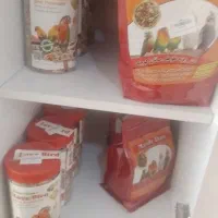 انواع خوراک تاب نردبانابخوری دونخوری پرندگان موجود|لوازم جانبی حیوانات|سیستان, |دیوار