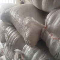 شالی دمسیاه آفتاب خشک