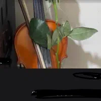 ویولن دست ساز حامد ملکی