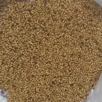 فروش بذریونجه اصل همدان|عمدهفروشی|قشلاق دشت, |دیوار