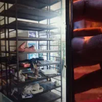 قفسه با قوطی محکم سه در سه