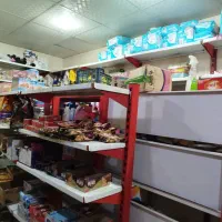 قفسه و پایه قفسه