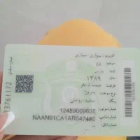 برک سبز ماشین به اسم پناهی تبار کم شده