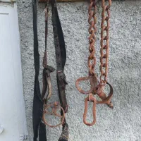 سرجل ولقاب وپیون قاطر