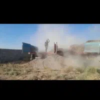 کود مرغی|خدمات باغبانی و درختکاری|ملکان, |دیوار