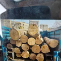 برش درخت هرس درخت خریدچوب