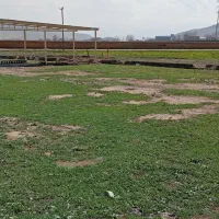 زمین قبرستان زاهد شیر