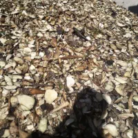 فروش تفاله ونخاله چغندر،سیب بابهترین کیفیت|خدمات باغبانی و درختکاری|مراغه, |دیوار