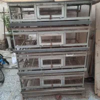 قفس مکانیزه پرورش بلدرچین وطیور