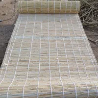 حصیر، پرده حصیری|فعالیت داوطلبانه|گنبد کاووس, |دیوار