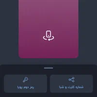 بانصب اپلیکیشن پول ببر