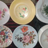 پنجاه بشقاب ملامین بابیست پنج تاپیاله گلسرخی باهم