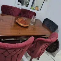 میز غذاخوری ۶نفره|میز و صندلی غذاخوری|رشت, کوی مهر|دیوار