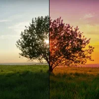 آموزش دوره ادیت و اصلاح رنگ و نور عکس|خدمات آموزشی|سنندج, |دیوار