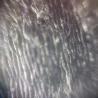 موی اسکوپ|لوازم جانبی موبایل و تبلت|مشهد, احمدآباد|دیوار