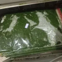 سبزی|خوردنی و آشامیدنی|کرمان, |دیوار