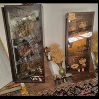 ویترین خاص و نو