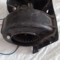 بخاری پیکان