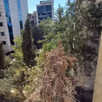 230متر نوسازفرمانیه ،برج بااصالت بسیار خفن|اجارهٔ آپارتمان|تهران, کامرانیه|دیوار