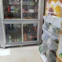 دو عدد یخچال الکترو استیل|یخچال و فریزر|زابل, |دیوار
