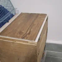 عروس هلندی مولد|پرنده|رشت, کوی مهر|دیوار