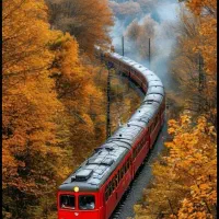 بلیط قطار تک