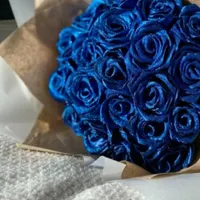 گل جاودانه همیشه ماندگار|گل مصنوعی|زابل, |دیوار