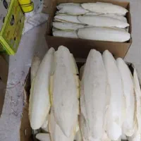 کف دریا|عمدهفروشی|بوشهر, |دیوار