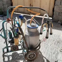 شیر دوش گاو برقی
