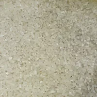 بـرنج فـروشی کـرد زنـگنـه|عمدهفروشی|باغ ملک, |دیوار