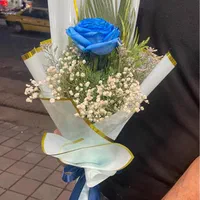 تک شاخه دسته گلی|گل و گیاه طبیعی|رشت, جانبازان|دیوار