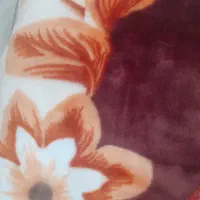 پتو|رختخواب، بالش، پتو|ارومیه, |دیوار