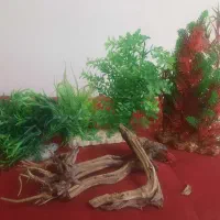 تزیینات اکواریوم