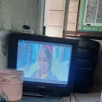 ب علت کمبود جا فروخته می‌شود|تلویزیون و پروژکتور|گرمدره, |دیوار