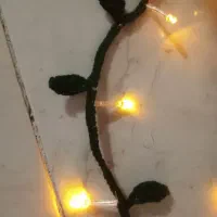 ریسه ال ای دی برگی