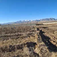 یکقطعهزمینویلایی ۲۰۰۰متر|فروش دفتر صنعتی، کشاورزی، تجاری|شبستر, |دیوار