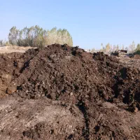 فروش کود گاوی|خدمات باغبانی و درختکاری|اردبیل, |دیوار