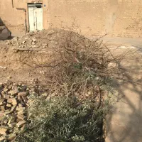 فروش زمین ۲۳۳ متری در بیدآباد|فروش زمین و ملک کلنگی|اصفهان, بیدآباد|دیوار