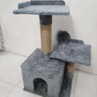 اسکرچر گربه