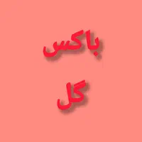 انواع باکس گل