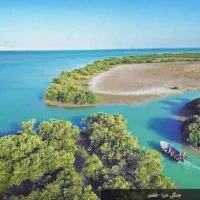 تور یک روزه VIP جاذبه های قشم|تور و چارتر|قشم, |دیوار