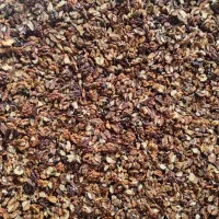 مغز گردو|خوردنی و آشامیدنی|بجنورد, |دیوار