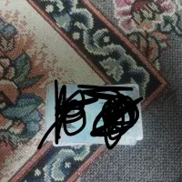 مدارک پیدا شده