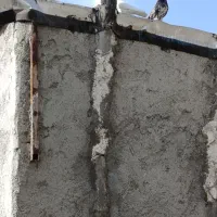 کفتر همه چی تموم|پرنده|مشکین‌دشت, |دیوار