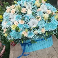 گلسرای محتشم سفارشات پذیرفته میشود|گل و گیاه طبیعی|کوهدشت, |دیوار