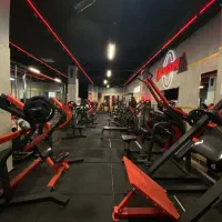 مربی خصوصی بدنسازی