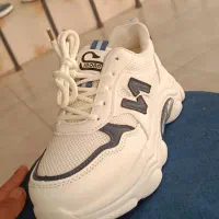 فروشگاه کفش دلارز|کیف، کفش، کمربند|شیراز, شهرک ولیعصر|دیوار