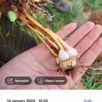 اجرای  لوله کشی کشاورزی اتصالات